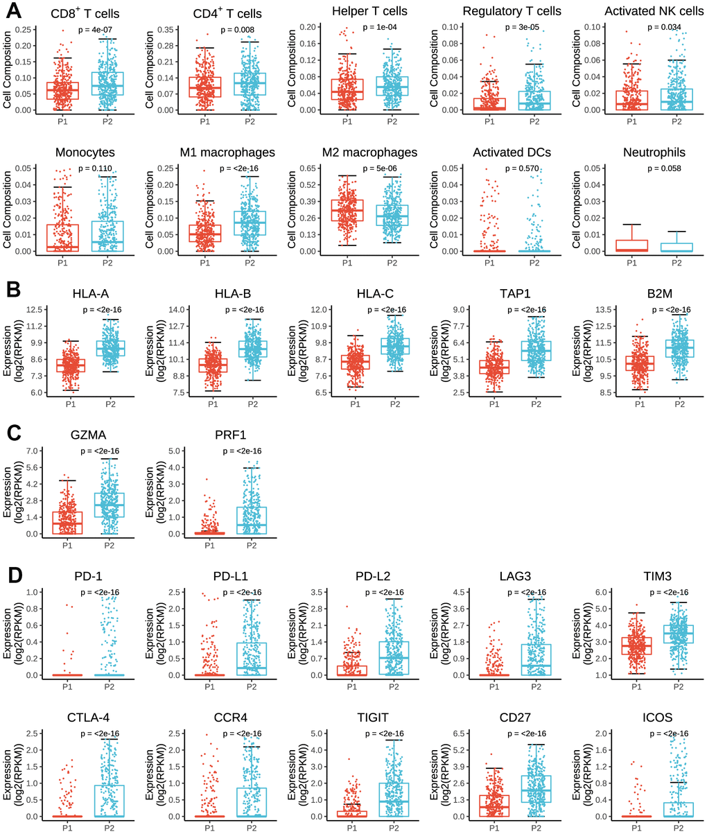 Immune cell infiltration and expressions of antigen presenting genes, immune cytolysis genes and immunomodulator genes in tumor tissues by P1/P2 subgroups. (A) Comparisons of cell composition fraction of CD8+ T cells, CD4+ T cells, helper T cells, regulatory T cells, activated natural killer (NK) cells, monocytes, M1 macrophages, M2 macrophages, activated dendritic cells (activated DCs) and neutrophils between P1 and P2 subgroups. (B) Expressions of HLA-A, HLA-B, HLA-C, TAP1 and B2M between P1 and P2 subgroups. (C) Expressions of GZMA and PRF1 between P1 and P2 subgroups. (D) Expressions of PD-1, PD-L1, PD-L2, LAG3, TIM3, CTLA-4, CCR4, TIGIT, CD27 and ICOS between P1 and P2 subgroups.