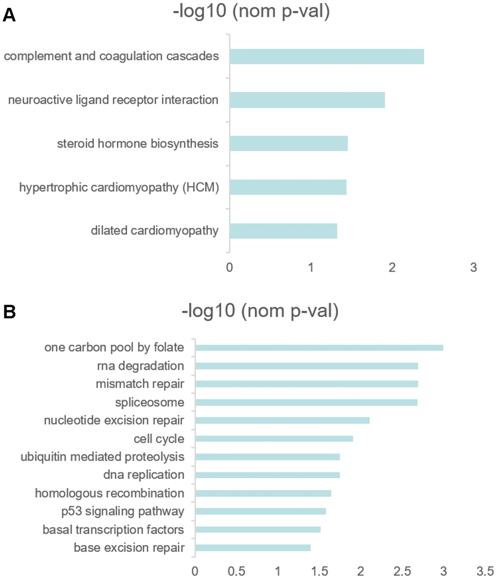 (A, B) GSEA results revealed the significantly enriched biological processes between two RS levels.