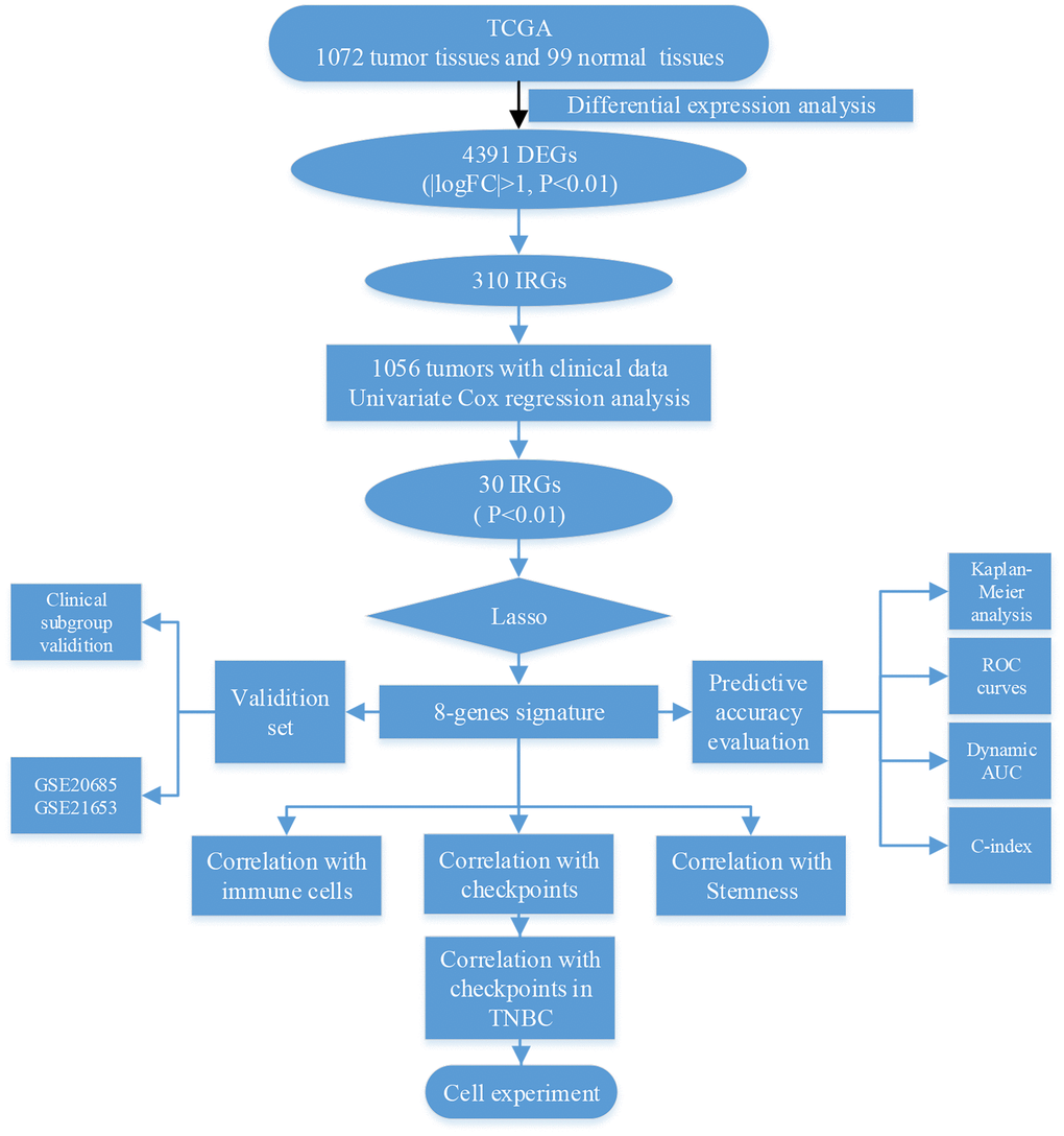 Schematic of research strategy.