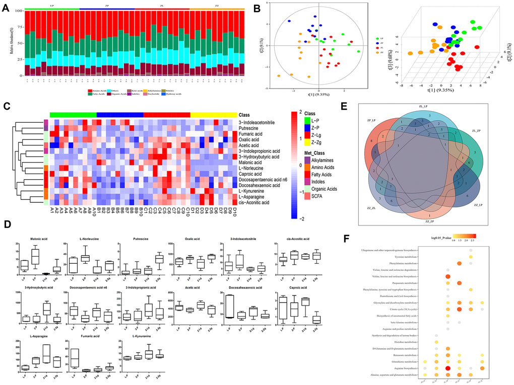 Metabolite composition of intestinal microbiota in ZDF rats after FMT. (A) The composition of metabolite types in each sample; (B) Score plot of 2D and 3D PLS-DA (n = 10). The green dots indicated L-P, the blue dots indicated Z-P, the red dots indicated Z-Lg, and the orange dots indicated Z-Zg; (C) Z-score heat map of differential metabolites. In the figure, the horizontal direction represented samples, and the longitudinal direction represents metabolites. The intensity of the colors represented the degree of association (red, higher content in the corresponding samples; blue, content in the corresponding samples. The relative numerical values represented by the colors were shown in the ribbon on the right.); (D) According to the results of single-dimensional statistics, the P-value was statistically significant for 15 groups of different metabolites as shown in box plots (n = 7-10); (E) Venn diagram of different metabolites. The number of shared and unique different metabolites screened by each group was shown; (F) Bubble map of the P-value of the metabolic pathway involved in the different metabolites. When the bubble was larger or the color was darker, the corresponding P value was smaller. Gray bubble, 0.05 P P 