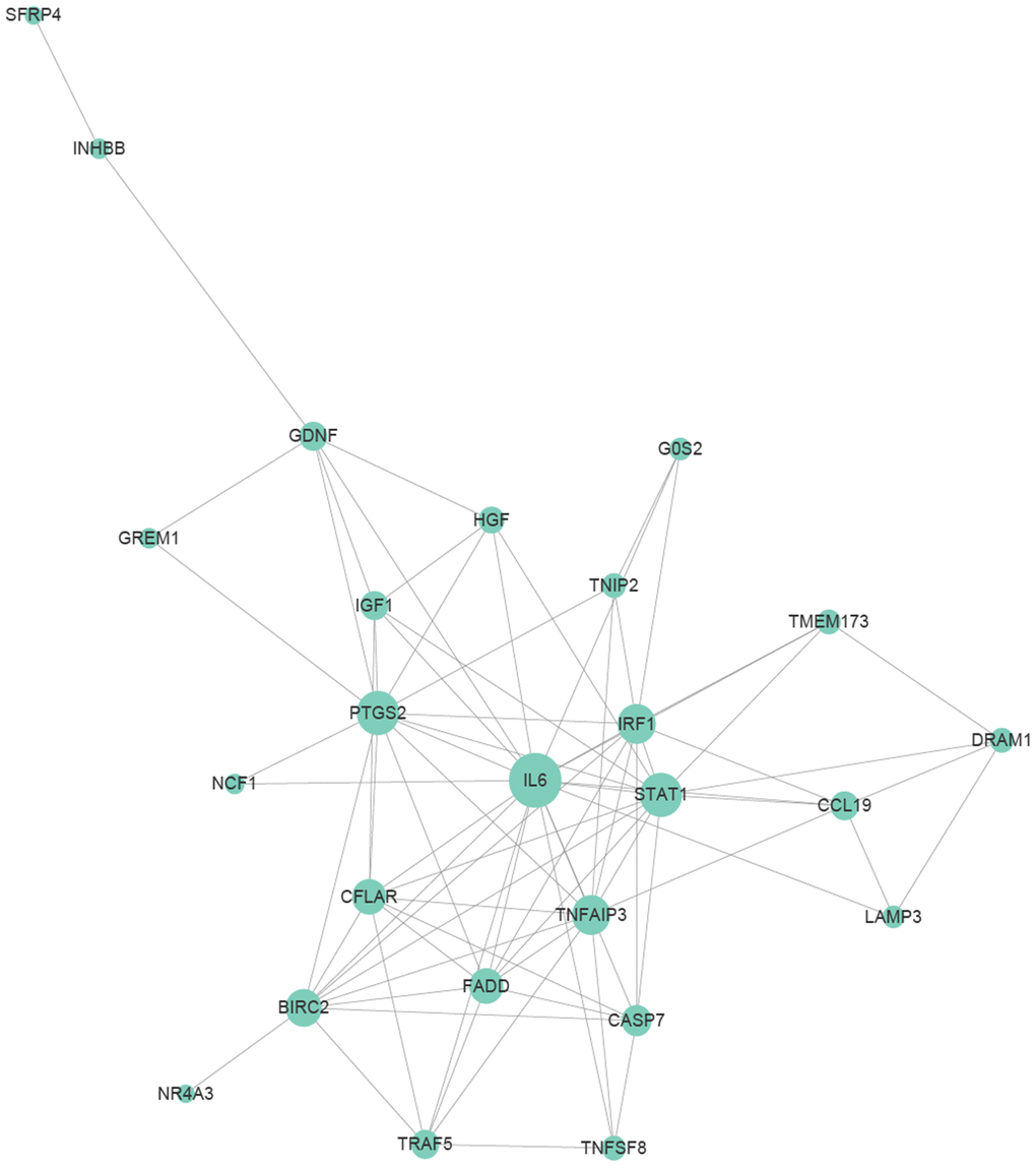 Protein to protein interaction (PPI) relationships of apoptosis-related genes. Apoptosis-related genes were selected from genes differentially expressed at various time points that were annotated with “apoptosis” and had significant.