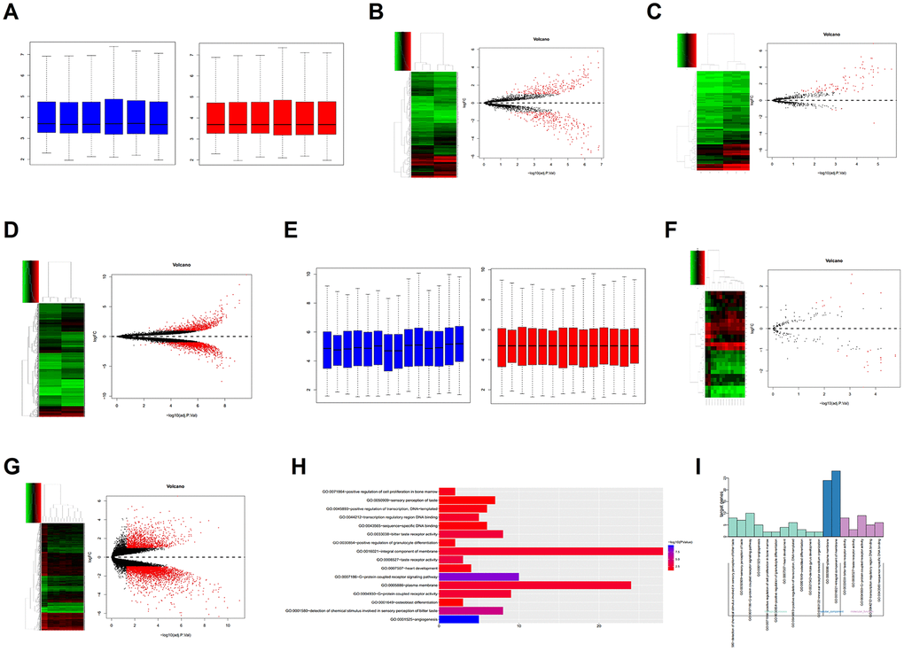 Bioinformatics analysis. (A) Correction of the GSE119975 gene chip. (B–D) Differential expression analysis of the lncRNA, miRNA and mRNA of GSE119975. (E) Correction of the GSE12865 gene chip. (F, G) Differential expression analysis of the miRNA and gene of GSE12865. (H, I) Gene Ontology (GO) analysis of 70 genes overexpressed by GSE119975 and GSE12865.