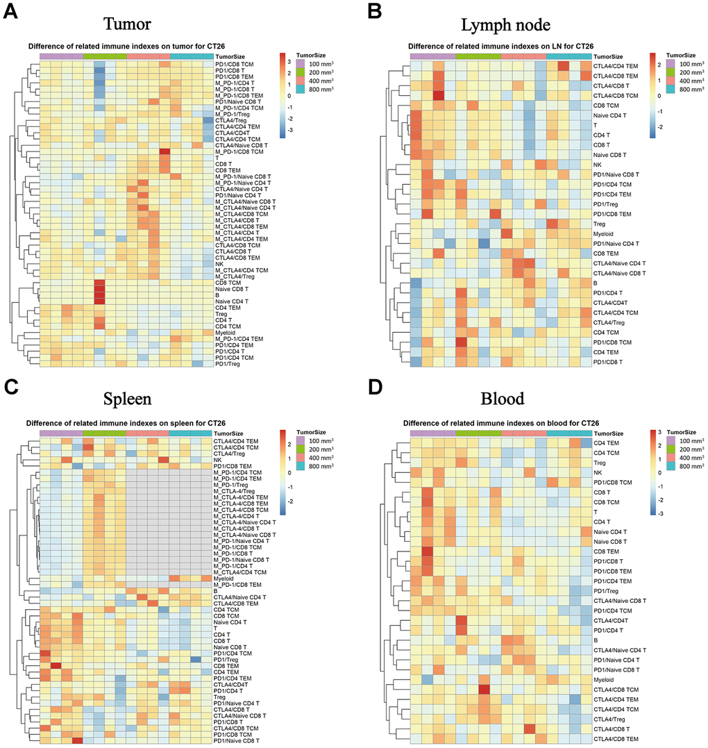 Expression of PD-1 and CTLA-4 checkpoints in each subpopulation of different immune tissues at different stages of the tumor progression. The different colors represent the different levels of expression. The differential expression of PD-1 and CTLA-4 in immune cell subpopulations in different immune tissues isolated from the CT26 animal model in Balb/c female mice. (A) Different expression levels of PD-1 and CTLA-4 in each subpopulation in TILs. (B) Different expression levels of PD-1 and CTLA-4 in each subpopulation in the lymph nodes. (C) Different expression levels of PD-1 and CTLA-4 in each subpopulation in the spleen (no sufficient data could be gathered for the MFI of CTLA-4 in the different subpopulations when the tumor size was 400 mm3 and 800 mm3). (D) Different expression levels of PD-1 and CTLA-4 in each subpopulation in the peripheral blood samples in the CT26 animal model. The statistical analysis in this figure was obtained by analyzing the raw data. The dendrogram was plotted from the raw data of each subpopulation and biomarker using the R language.