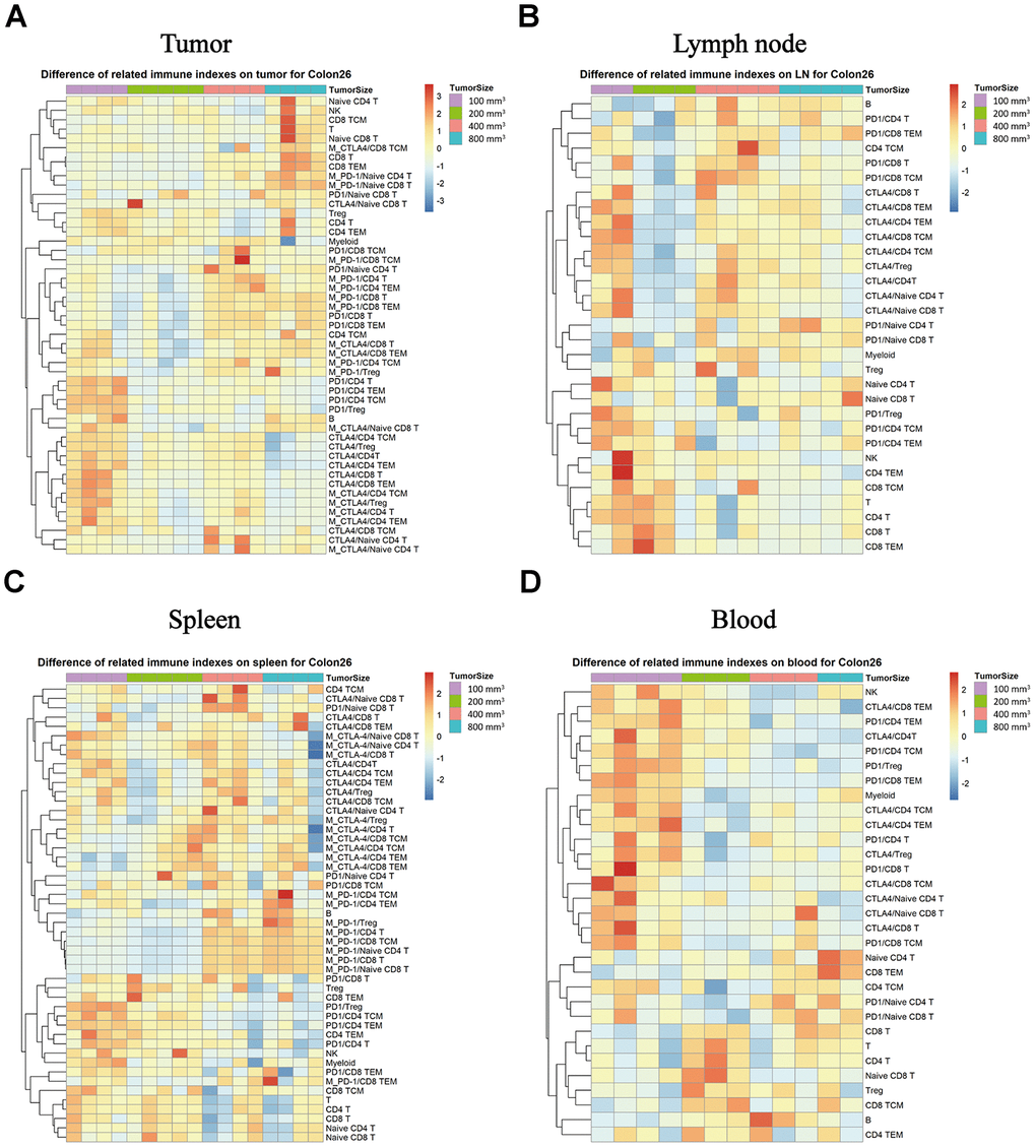 Expression of the PD-1 and CTLA-4 checkpoints in each subpopulation of different immune tissues at each stage of tumor progression. The different colors represent different levels of expression. The differential expression of PD-1 and CTLA-4 in immune cell subpopulations in different immune tissues isolated from the Colon26 animal model. Different expression levels of PD-1 and CTLA-4 in each subpopulation in TILs (A), lymph nodes (B), spleen (C), and peripheral blood samples (D) in the Colon26 animal model. The statistical analysis in this figure was obtained by analyzing the raw data. The dendrogram was plotted from the raw data of each subpopulation and biomarker using the R language.