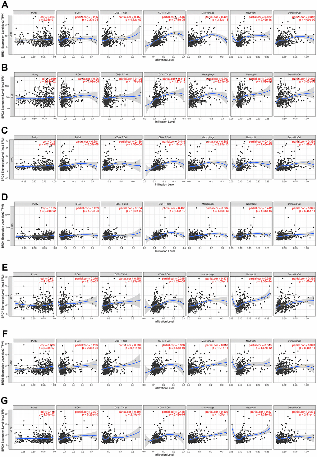 Association of 7 BRD-containing protein genes with immune infiltrate levels in HCC (TIMER). BRD1/2/3/4/7/8/9 expression had significant positive correlations with infiltrating levels of B cells, CD8+ T cells, CD4+ T cells, macrophages, neutrophils, and dendritic cells (n = 371) (A–G).