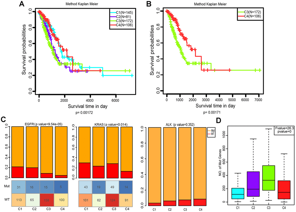 Kaplan–Meier curves and mutation status of the four immune subtypes. (A) Overall survival (OS) of the four subtypes (log-rank test). (B) Five-year Kaplan–Meier curves for OS of subtypes C3 and C4 (log-rank test). (C) Distribution of EGFR, KRAS and ALK mutant among the four subtypes. The lower half represents the number of EGFR/KRAS mutant and wild-type of different subtypes (chi-square test). (D) Distribution of the number of mutant genes in the four samples (Analysis of Variance, p