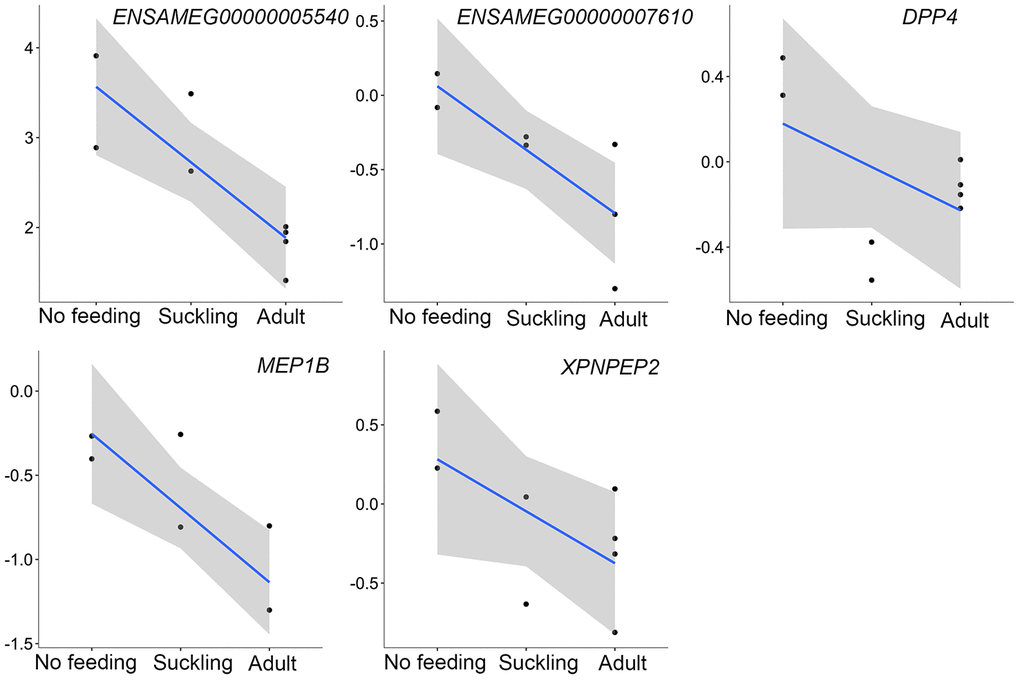 The expression of proteases-related genes that were continuously decreased during postnatal development in the pancreas. The vertical axis indicates the log10-transformed normalized CPM expression values. The gray shadow represents the 95% confidence field of the fitted curve.