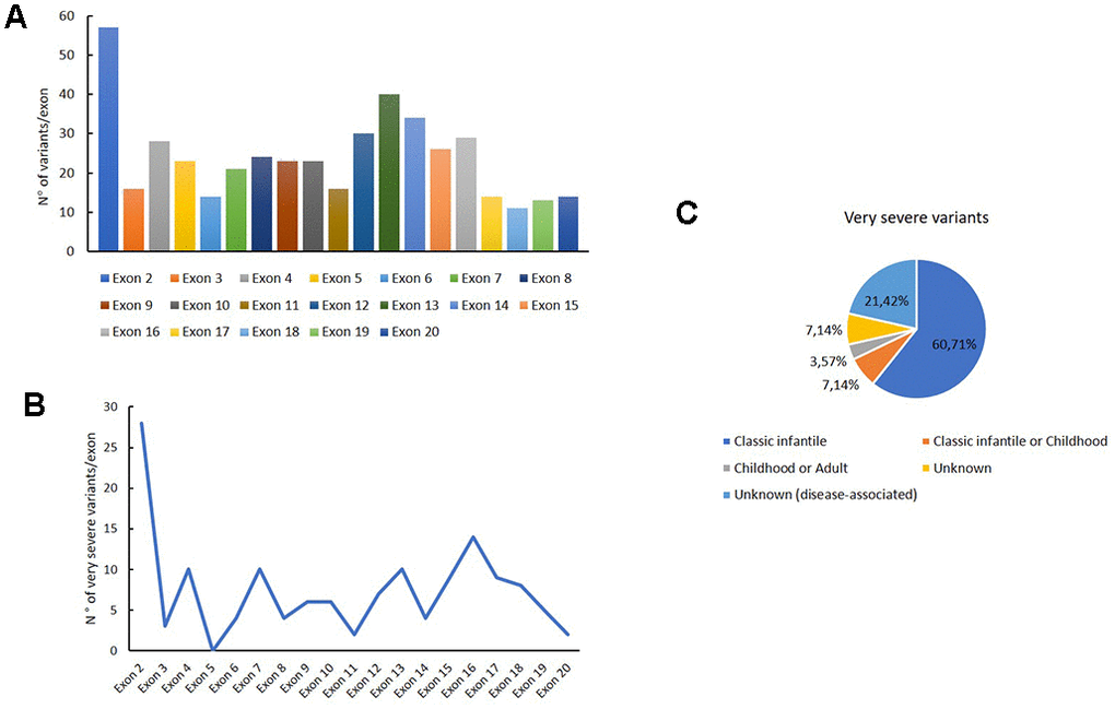 Genetic variants distribution into GAA exons. Distribution of variants for each exon (A); distribution of very severe variants for each exon (B); association of the very severe variants with PD phenotypes.