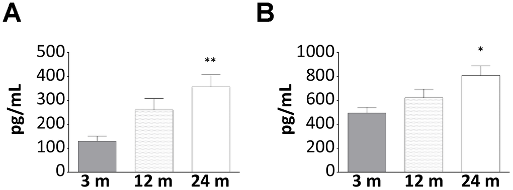 Increase of AG and UnAG plasmatic levels during aging in WT mice. Plasmatic levels of AG (A) and UnAG (B) in 3-, 12-, and 24-month-old mice determined by EIA; 3-month-old mice: N = 5, 12-month-old mice N = 8, 24-month-old mice N = 6. Data in bar graph are presented as mean ± SEM. *p