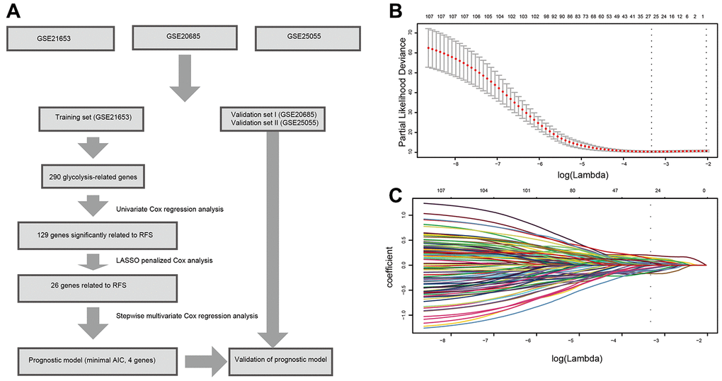 Flow chart and 10-time cross-validation for tuning parameter selection. (A). Flow chart indicating the process of selecting target genes in this study. (B) Ten-time cross validation for tuning parameter selection in the lasso model. (C). LASSO coefficient profiles of the 129 prognostic genes. A vertical line is drawn at the value chosen by 10-fold cross-validation. Abbreviations: AIC (Akaike information criterion), RFS (relapse-free survival).