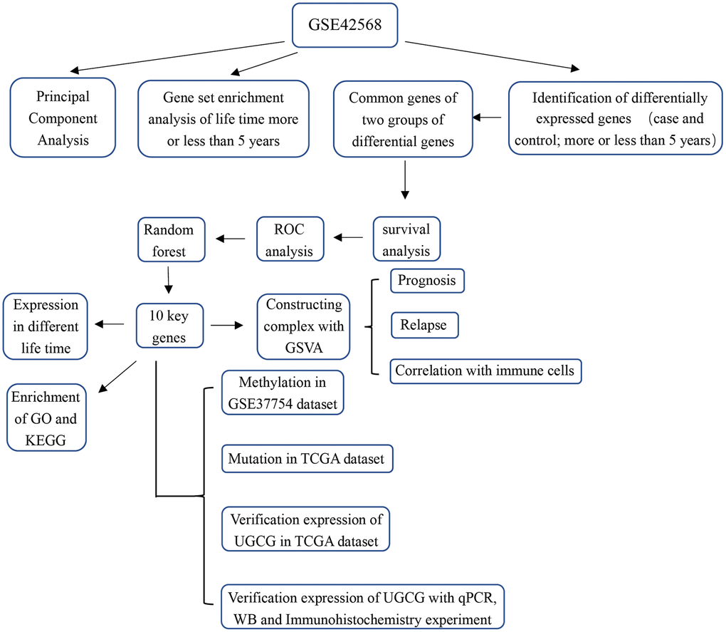 Study flowchart.