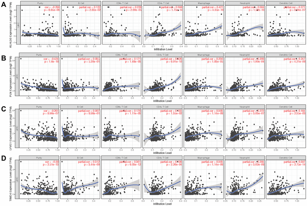 Scatter plot of gene expression and immune cell content. (A–D) show the relationship between the expression levels of KLHL30, PLN, LYVE1, and TIMD4 and the content of immune cells, respectively.