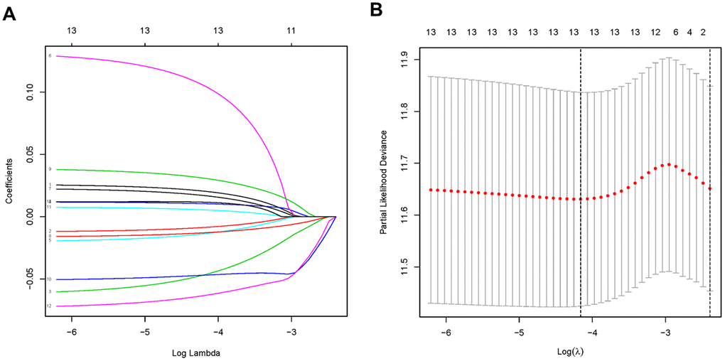 PDEMRGs selected by lasso regression. (A) Constructing the lasso coefficient prediction model. (B) Selecting variables in lasso regression with minimum criteria by 1000 times cross-validation.