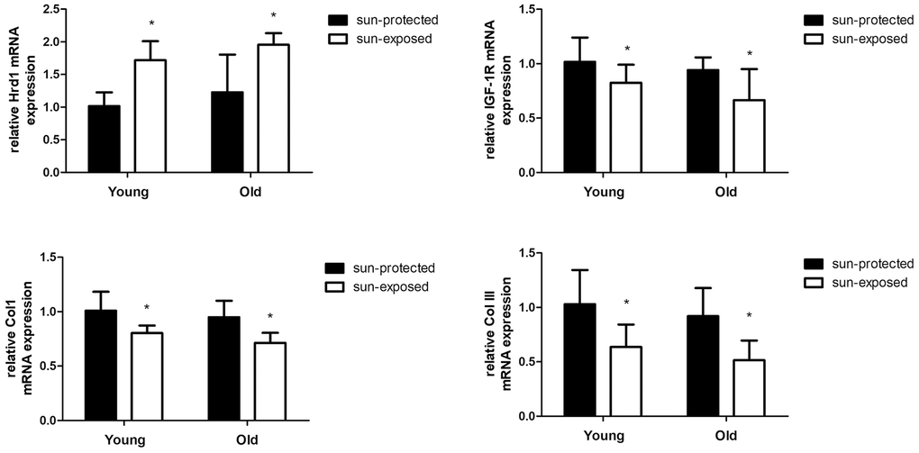 The mRNA expressions of Hrd1, IGF-1R, Type I collagen and Type III collagen in clinical samples. *P 