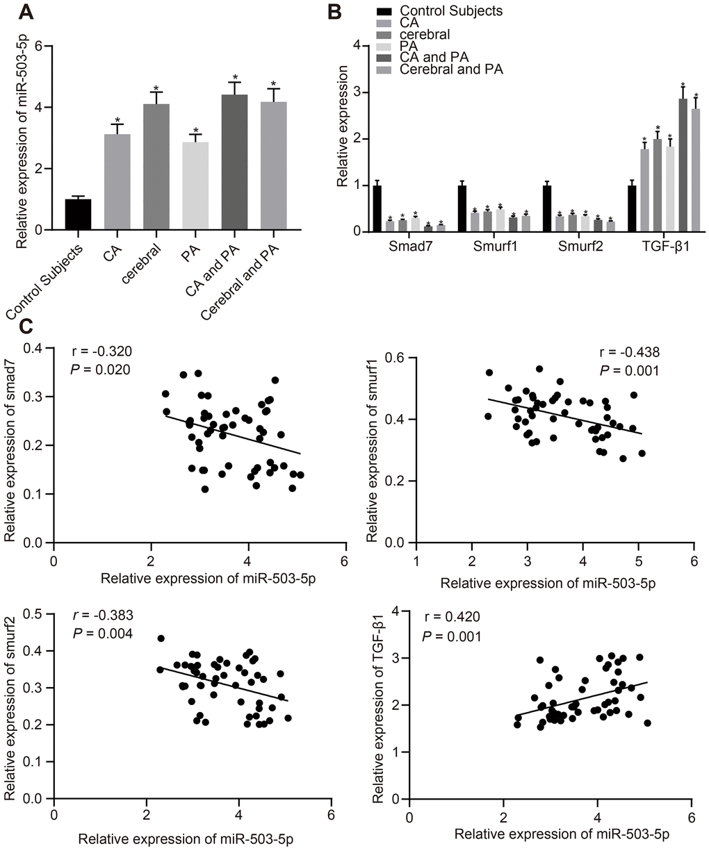 Expression patterns of miR-503-5p, smad7, smurf1, and smurf2 in plasma-EVs of patients with atherosclerosis. (A, B) Expression of miR-503-5p (normalized to U6), TGF-β1, smad7, smurf1, and smurf2 (all normalized to GAPDH) in plasma-EVs of healthy individuals (n = 30) and patients with atherosclerosis (n = 53) determined by RT-qPCR. (C) Pearson analyses of miR-503-5p and TGF-β1, smad7, smurf1, or smurf2. Values obtained from three independent experiments in triplicate were analyzed by one-way ANOVA followed by Tukey's post hoc test among three or more groups. *p 