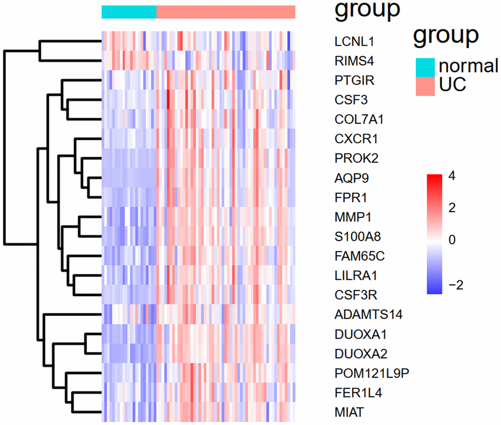 The heat map of the 20 overlapped genes between GSE109142 and GSE92415.