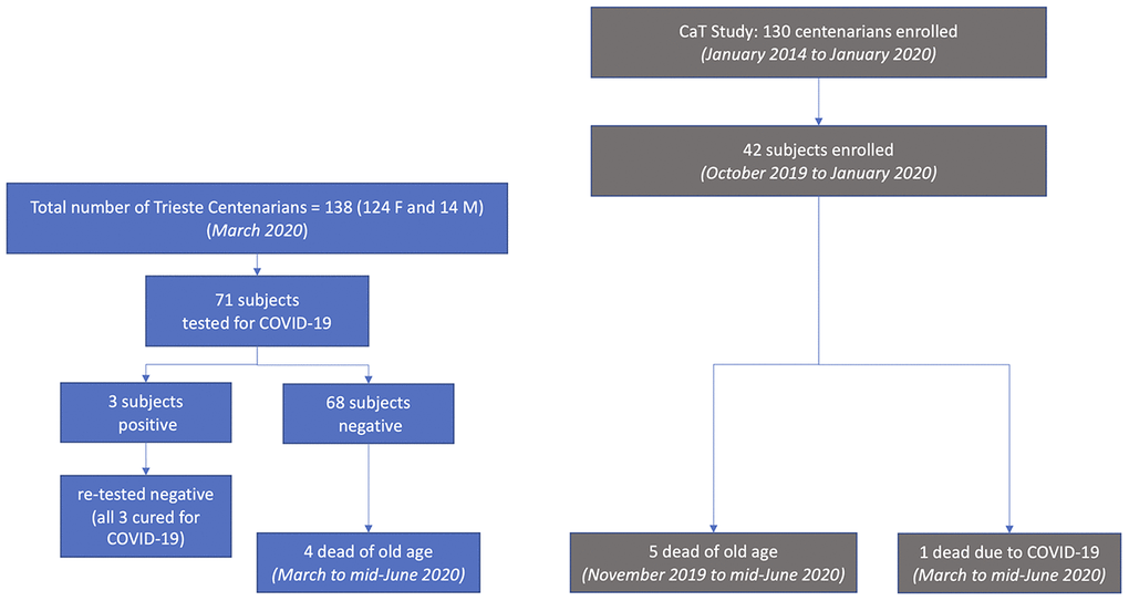 COVID-19 testing and deaths in Trieste (left) and in the CaT (Centenari a Trieste) Study (right).