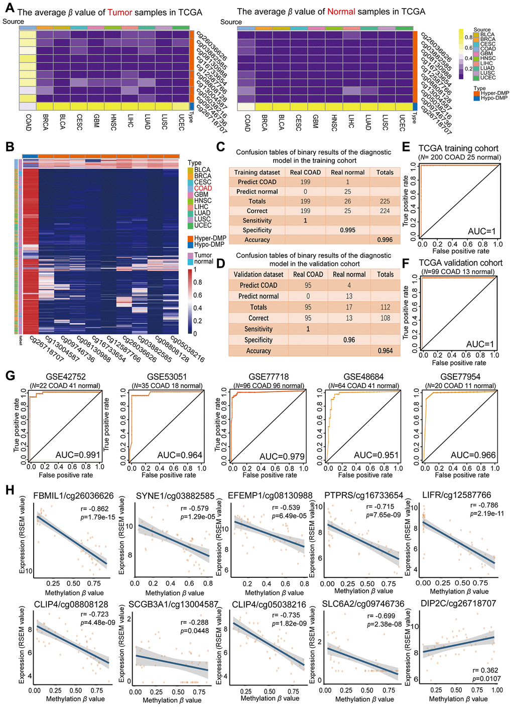 Evaluation of the COAD-specific diagnostic biomarkers and diagnostic model. (A) Heat maps of the average methylation levels of the nine Hyper-DMPs and one Hypo-DMP in all the samples from 10 cancer types. The legend on the right marks the source and CpG type. The picture on the left represents the tumor samples in TCGA, while the picture on the right represents the normal samples in TCGA. (B) Unsupervised hierarchical clustering of the methylation levels of the nine Hyper-DMPs and one Hypo-DMP in all the samples from 10 cancer types. The legend on the right marks the source and CpG type. (C–F) Confusion tables (C, E) and corresponding ROC curves (D, F) for the binary results of the COAD-specific diagnostic model in the training cohort (N = 225) and the validation cohort (N = 112) from TCGA. (G) ROC curves of the COAD-specific diagnostic model in five GEO COAD validation cohorts (GSE42752, GSE53051, GSE77718, GSE48684 and GSE77954, which included 22 COAD and 41 normal samples, 35 COAD and 18 normal samples, 96 paired COAD and normal samples, 64 COAD and 41 normal samples, and 20 COAD and 11 normal samples, respectively). (H) The correlation between the DMP methylation level and the expression of the corresponding gene for each diagnostic biomarker, determined through Pearson correlation tests (r > 0.2, FDR x + 1).