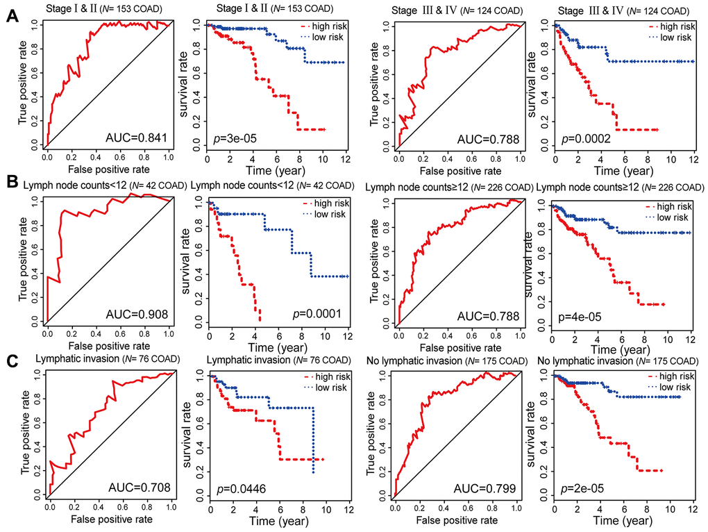 Kaplan-Meier and ROC analysis results based on stage, examined lymph node count and lymphatic invasion. (A) Grouping of COAD patients according to stage: early (stage I and II [N = 153, 53.31%]) and advanced (stage III and IV [N = 124, 43.21%]). (B) Grouping of COAD patients according to examined lymph node count: N = 42, 14.63%) and ≥ 12 (N = 226, 78.75%). (C) Grouping of COAD patients according to lymphatic invasion: lymphatic invasion (N = 76, 26.48%) and no lymphatic invasion (N = 175, 60.98%).