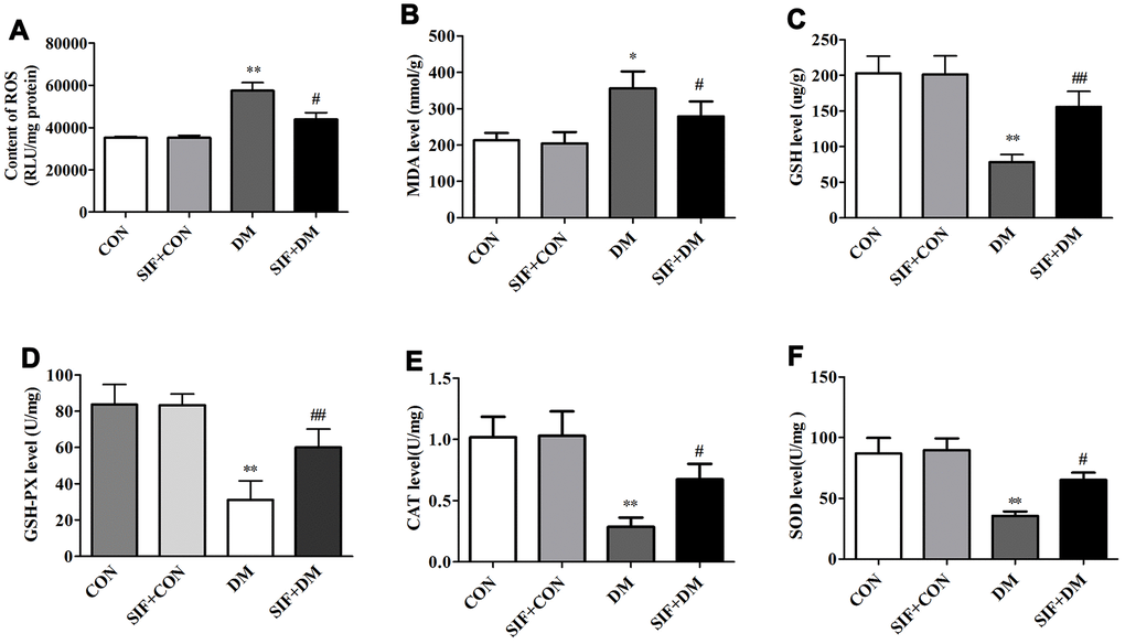 Effects of SIF on oxidative stress markers. (A) Level of ROS; (B) Level of MDA; (C) Level of GSH; (D) Level of GSH-PX; (E) Level of CAT (F) Level of SOD. The results are shown as the mean±standard deviation (n=5 per group). *p ##p #p ##p 