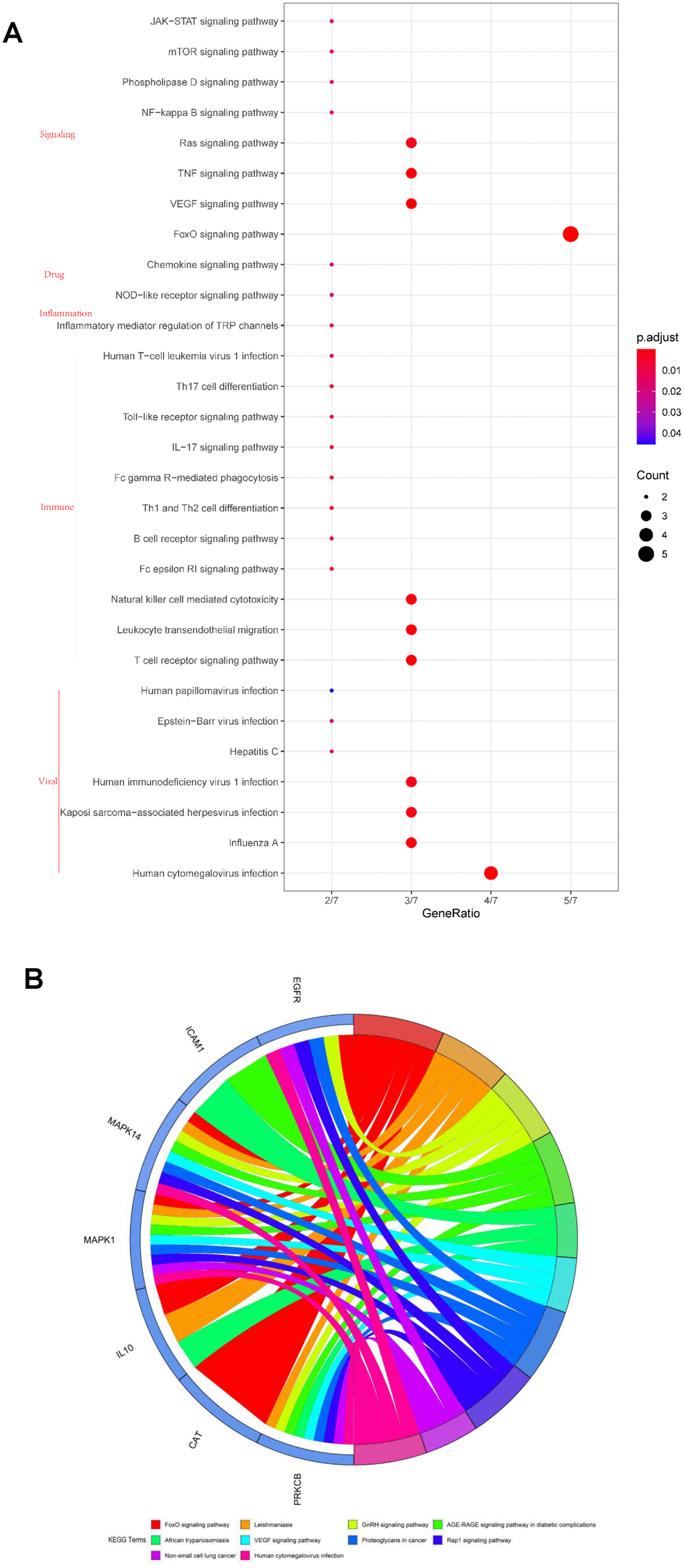 Kyoto Encyclopedia of Genes and Genomes (KEGG) pathway analysis of the seven core targets of vitamin A against SARS-CoV-2. (A) Bubble diagram showing the vitamin A-mediated cell signaling pathways against SARS-CoV-2. (B) Identified core biotargets of vitamin A against SARS-CoV-2 were associated with the 10 most enriched KEGG terms in Circro diagrams.