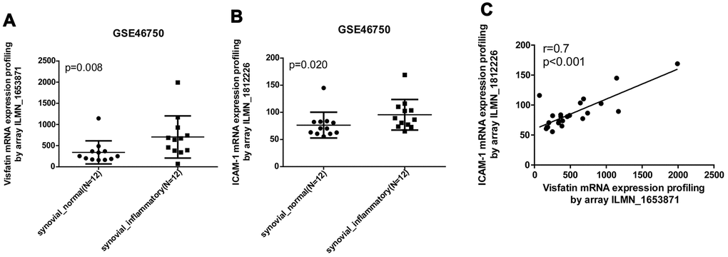 Visfatin expression is positively correlated with ICAM-1 expression in inflammatory synovial tissues. (A, B) Expression levels of visfatin and ICAM-1 in 12 paired normal and inflammatory synovial tissues retrieved from the GEO dataset (accession code: GSE46750). (C) Correlation between levels of visfatin and ICAM-1 expression in inflammatory synovial tissues. Mann-Whitney testing was applied in (A, B).