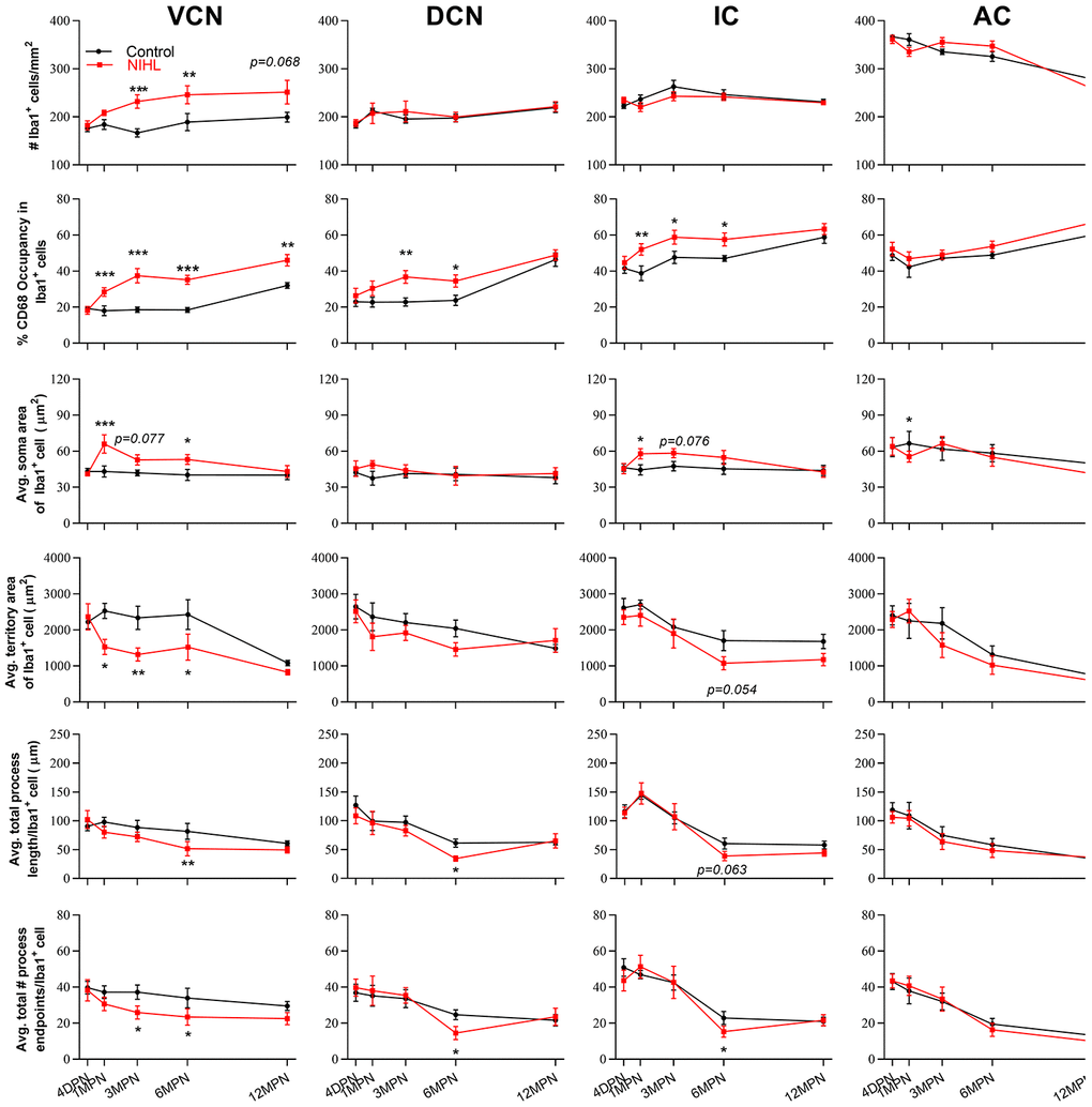 The impact of NIHL and age on the morphology of microglia in auditory brain regions. Quantification of the impact of NIHL on each individual parameter of microglia in the VCN, DCN, IC, and AC by post hoc pairwise comparisons between groups as a function of age. The values are presented as the mean ± SEM of 6-8 mice per group. *P