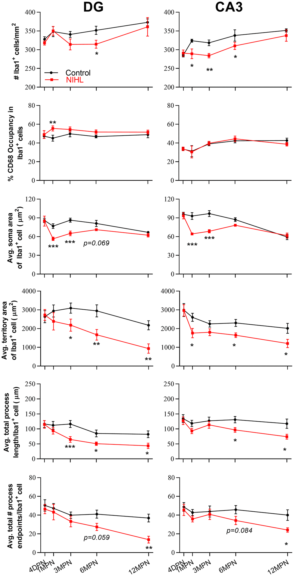 Quantification of the impact of hearing on microglial parameters in the DG and CA3 by post hoc pairwise comparisons between groups as a function of age. The values are presented as the mean ± SEM of 5-8 mice per group. *P