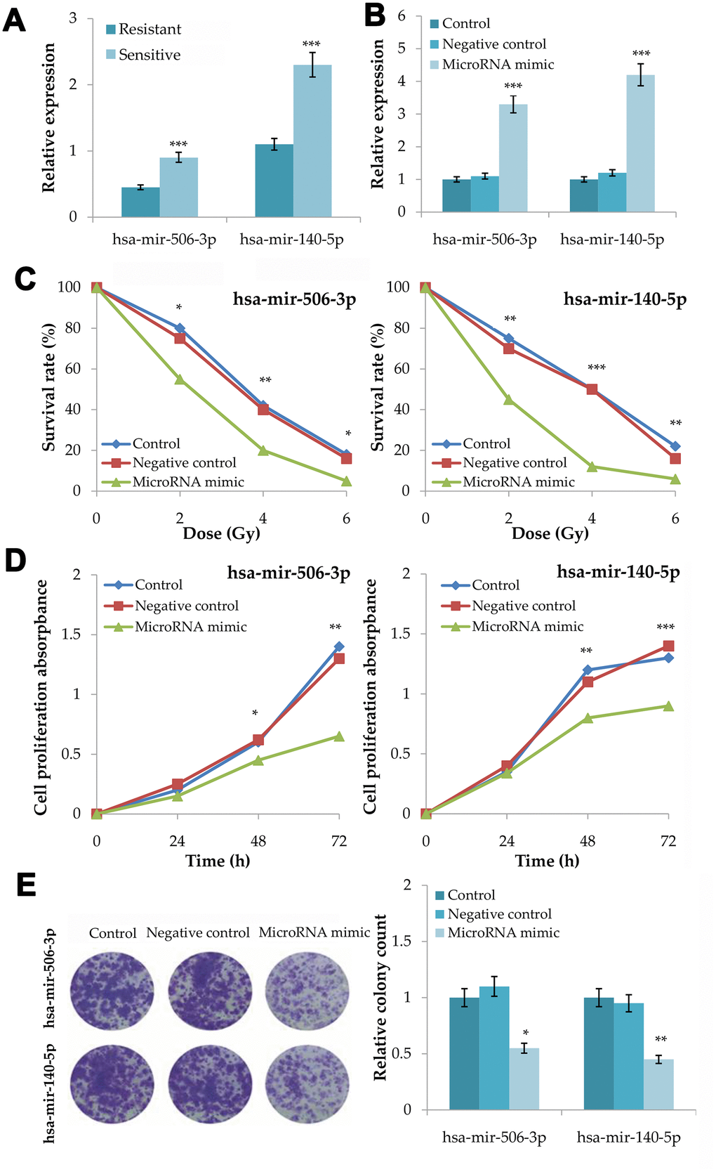 Validation of the association between hsa-mir-506-3p and hsa-mir-140-5p and the radiosensitivity in colorectal cancer. (A) Plasma expression levels of hsa-mir-506-3p and hsa-mir-140-5p between radiosensitive and radioresistant patients. (B) Transfection efficiency of hsa-mir-506-3p mimic and hsa-mir-140-5p mimic. (C) Survival curves of transfected cells with hsa-mir-506-3p mimic and hsa-mir-140-5p mimic, negative control and untransfected cells at 0, 2, 4 and 6Gy radiation. (D) Cell proliferation assay analysis of transfected cells with hsa-mir-506-3p mimic and hsa-mir-140-5p mimic, negative control and untransfected cells after 4Gy radiation. (E) Clone forming assay analysis of transfected cells with hsa-mir-506-3p mimic and hsa-mir-140-5p mimic, negative control and untransfected cells after 4Gy radiation. Compared with the control or negative control, *PPP