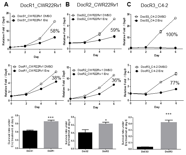 Acquired Enz-resistance after Doc-resistance in DocRPC cells. (A) The growth curve of DocR1