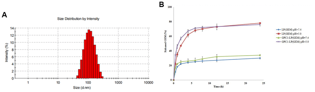 Characterization of GPC1-LP (GEM). (A) Size distributions of GPC1-LP (GEM) determined by dynamic light scattering. (B) Cumulative drug release profiling of LP (GEM) and GPC1-LP (GEM) in phosphate-buffer saline (PBS, pH 7.4 and pH 5.0).