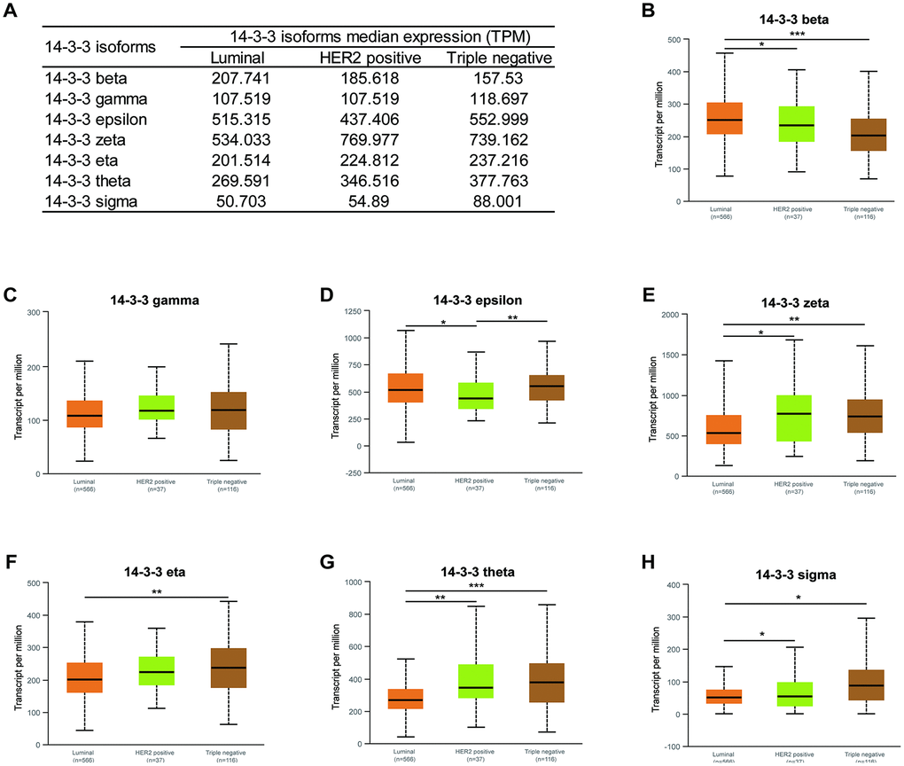 Association of mRNA expression of 14-3-3 isoforms with molecular subtypes of BrCa. (A) Summarization of transcriptional expression of 14-3-3 isoforms in different molecular subtypes. (B, D, E, F, G, H) Expression levels of 14-3-3 beta, 14-3-3 epsilon, 14-3-3 zeta, 14-3-3 eta, 14-3-3 theta and 14-3-3 sigma were related to molecular subtypes. (C) The expression level of 14-3-3 gamma was not associated with molecular subtype.