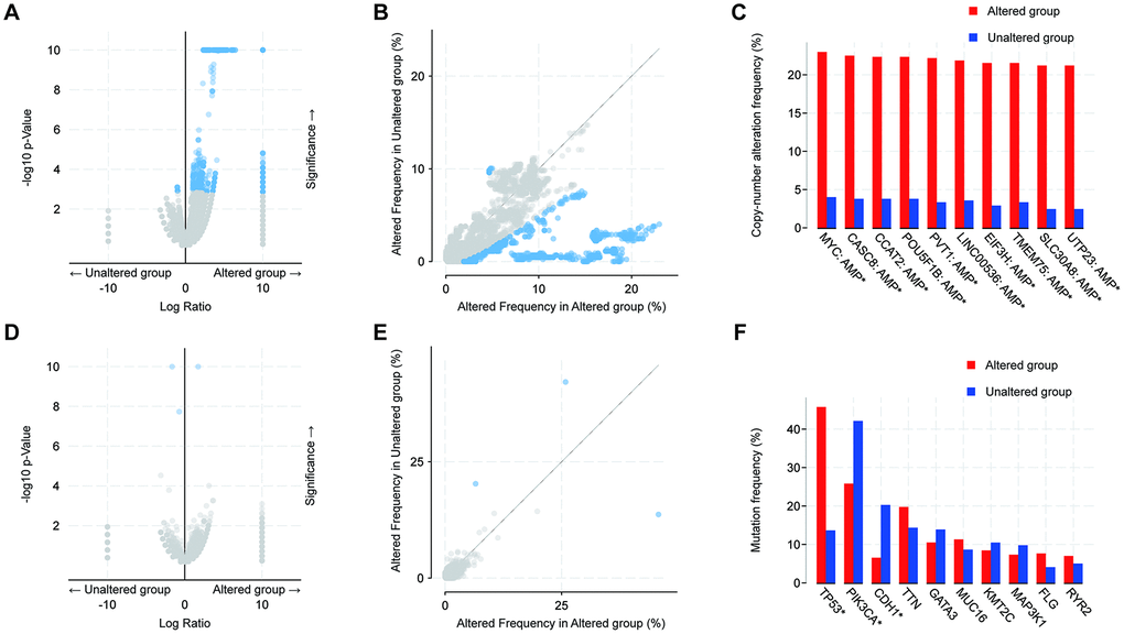 Analysis of global genes associated with mutations in 14-3-3. (A, B) Scatter and volcano plots exhibiting genes associated with alterations in 14-3-3 CNA frequency. (C) Box blot representing the 10 most frequently altered genes. Amp: amplification. (D, E) Scatter and volcano plots exhibiting genes associated with mutations altered frequency in 14-3-3. (F) Box blot representing the 10 most frequently altered genes; only 3 genes exhibited significant differences.