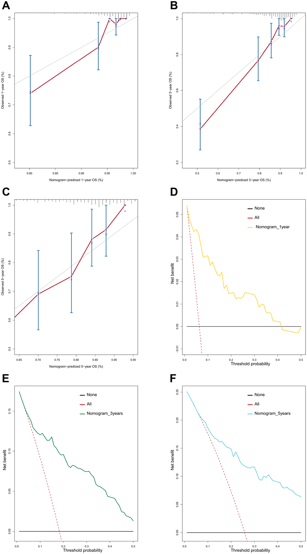 Calibration curves and decision curve analysis (DCA) of the nomogram. Calibration curves of the nomogram for predicting OS at 1 year (A), 3 years (B), and 5 years (C). DCA of the nomogram for predicting OS at 1 year (D), 3 years (E), and 5 years (F).