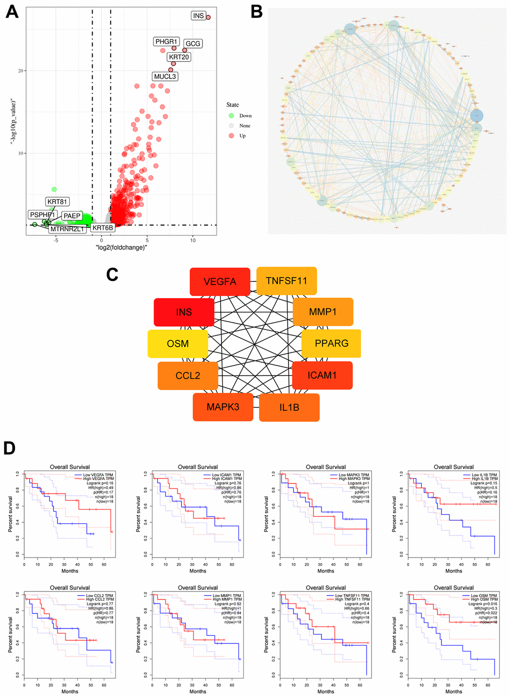 Identification of Immune Related Hub Gene OSM of CCA Patients with and without TP53 Mutations. (A) Volcano plot of TP53wild and TP53mutant group from TCGA dataset; (B) DEGs PPI network of TP53wild and TP53mutant group; (C) Top10 immune related genes were filtered from TP53 mutation associated DEGs by calculating the nodes scores of genes; (D) Overall survival of the Top10 immune related genes analyzed by KM curve analysis and log-rank test.