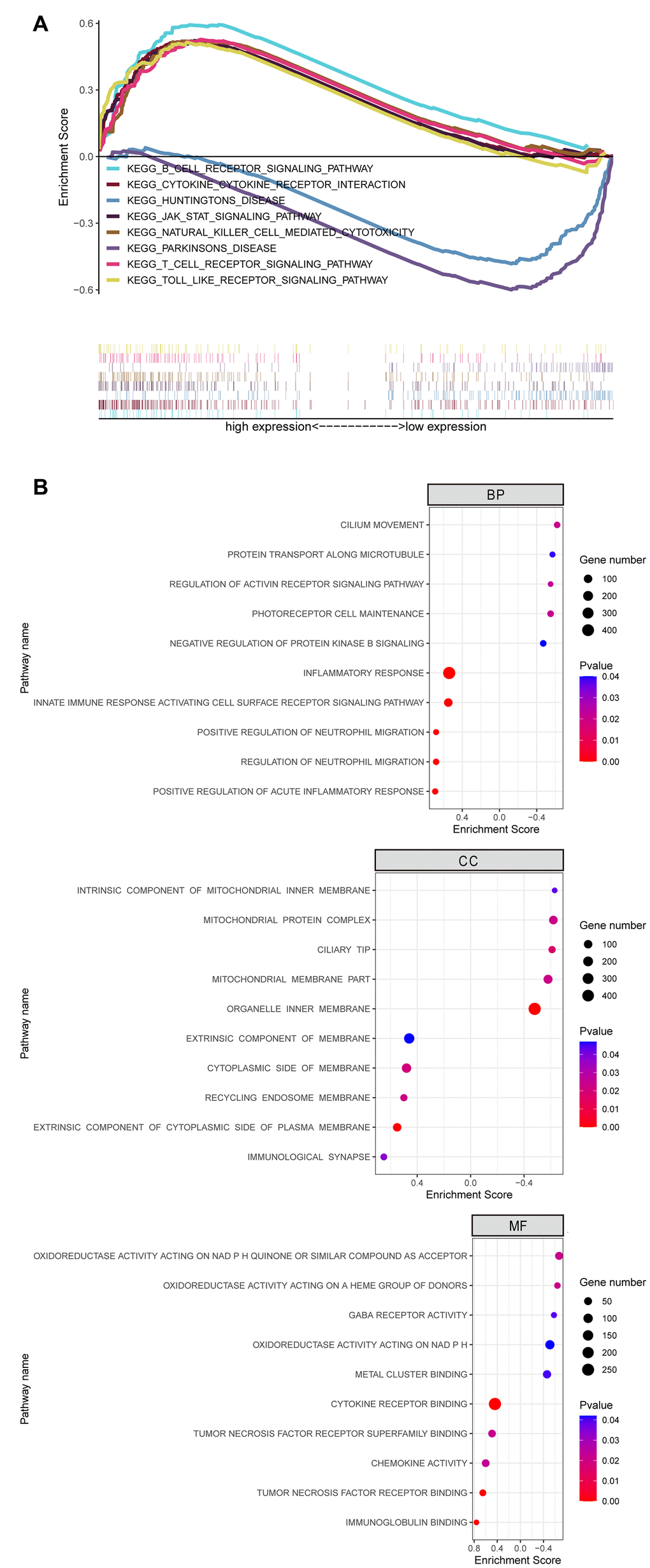 GSEA Revealed Biological Function of Hub Gene OSM in CCA. (A) KEGG pathway enrichment for OSM; (B) GO enrichment for OSM including biological process (BP), cell component (CC) and molecular function (MF).