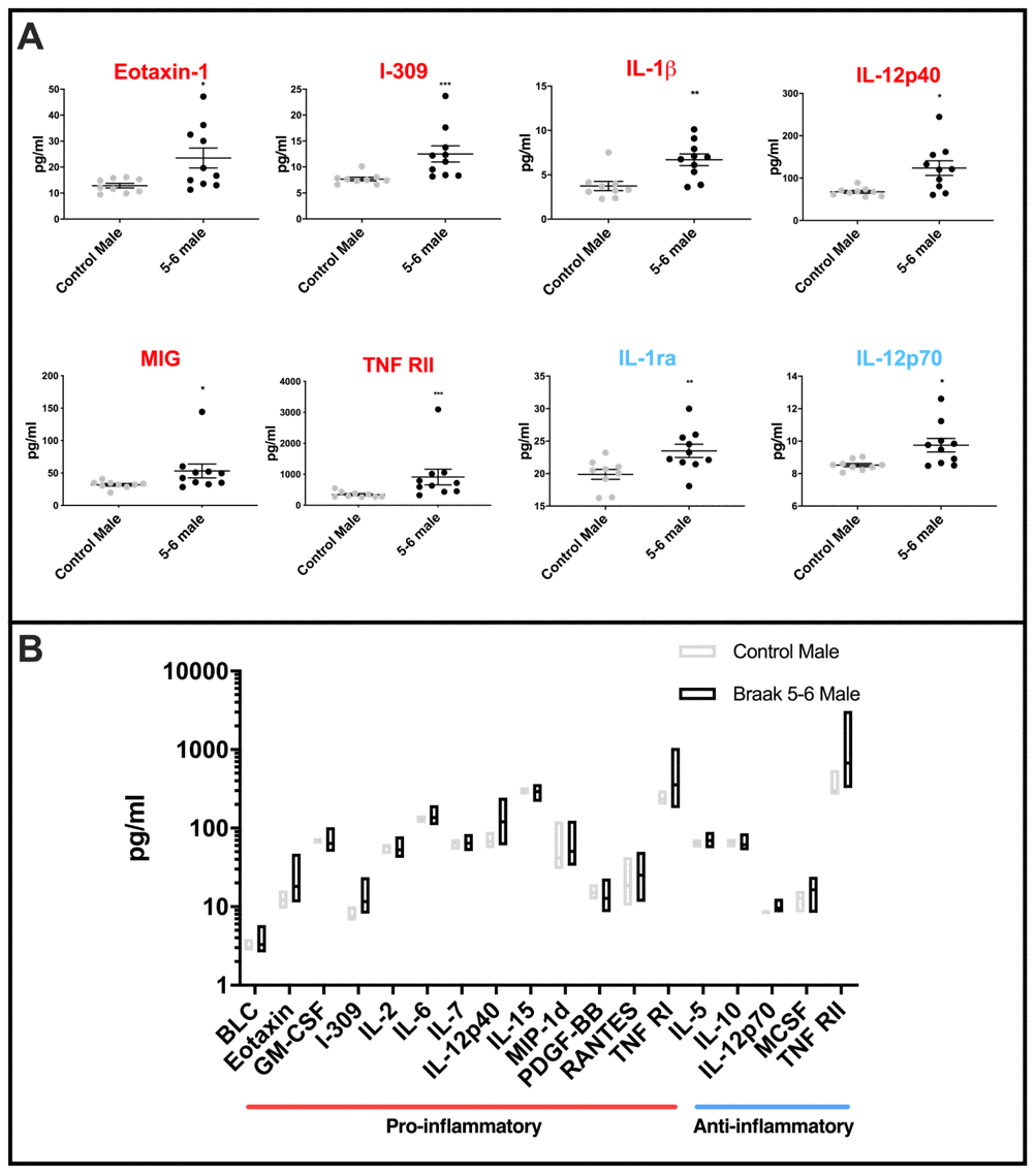 Cytokine levels in PD Braak 5-6 male cerebellar mitochondria (A) Mean levels of cytokines are higher in cerebellar mitochondria of PD Braak 5-6 males. Eight inflammatory cytokines were increased in cerebellar mitochondria of PD Braak 5-6 males compared with control males. PD Braak 5-6 male n=10; control male n=9. Red or blue titles represent pro- /anti-inflammatory, respectively. Plots display mean concentration (pg/ml) ± SEM (Mann-Whitney test), see Supplementary Table 5 for p values (Mann-Whitney U test). (B) PD Braak 5-6 males show different variance in cerebellar mitochondrial cytokines levels than was seen in the control male group. All seventeen measured inflammatory cytokines with significant differences in variance are more dispersed from the mean in PD Braak 5-6 males than control males. PD Braak 5-6 male n=10; PD Braak 5-6 female n=9; control male n=9; control female n=8. Box plots display interleaved high and low. The horizontal line represents the mean. Data shown are oxylipins (A+B) with significant variances (f-test). Refer to Supplementary Table 6 for f values.