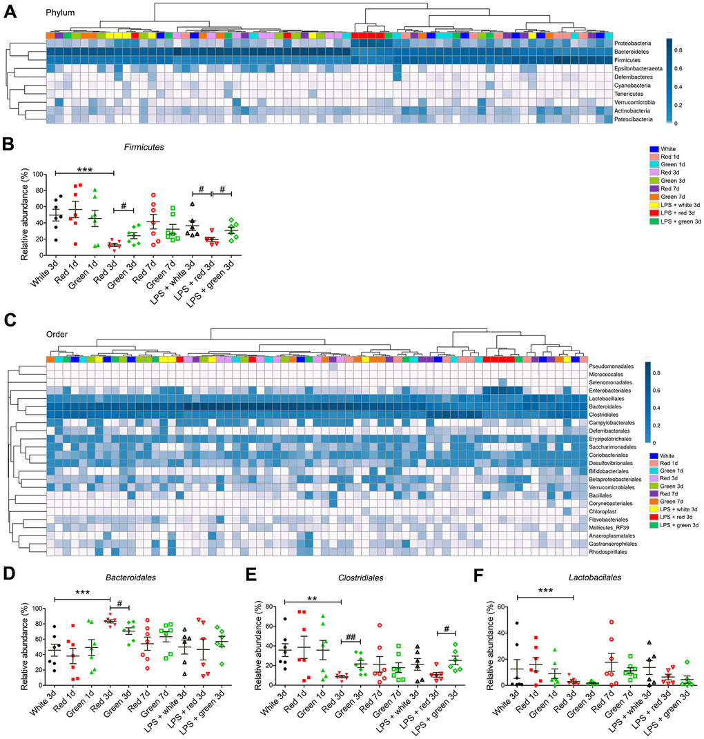 Altered gut bacterial composition at the phylum and order levels. (A) Relative abundance at the phylum level in the different groups. (B) Red light exposure reduced the abundance of Firmicutes in both non-septic and septic mice on day 3 relative to ambient white light or green light exposure. (C) Relative abundance at the order level in the different groups. (D) Red light exposure increased the abundance of Bacteroidales in non-LPS-treated mice on day 3 relative to ambient white light or green light exposure. (E) Red light exposure reduced the abundance of Clostridiales in non-septic mice on day 3 relative to ambient white light or green light exposure, as well as in septic mice on day 3 relative to green light exposure. (F) Red light exposure reduced the abundance of Lactobacillales in non-LPS-treated mice on day 3 relative to ambient white light exposure. Data are presented as the mean ± SEM (n = 6-7/group). **P ***P #P ##P 
