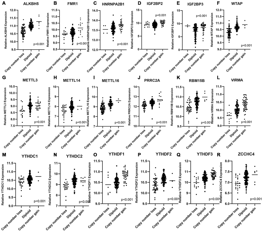 Correlation between different CNA patterns and mRNA expression levels of m6A regulatory genes respectively. (A–R) A total of 18 m6A regulatory genes showed significant correlation between their CNA patterns and mRNA expression. Only when p 6A genes were listed in Supplementary Figure 4.