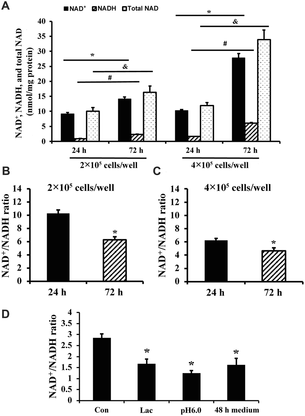 NAD+/NADH ratios in long-term cultured C2C12 myoblasts. (A) NAD+, NADH, and total NAD concentrations of C2C12 myoblasts (2×105 cells/well and 4×105 cells/well) cultured for 24 and 72 h, respectively. *, P + concentrations between cells cultured for 24 h and 72 h; #, P P + concentrations between cells cultured for 24 h and 72 h. (B) NAD+/NADH ratio of C2C12 myoblasts (2×105 cells/well) cultured for 24 and 72 h; *, P C) NAD+/NADH ratio of C2C12 myoblasts (4×105 cells/well) cultured for 24 and 72 h; *, P D) NAD+/NADH ratio of C2C12 myoblasts (2×105 cells/well), which were cultured for 24 h, and then treated by lactate (10 mM), pH6 medium, and 48 h medium (collected from C2C12 myoblasts which were cultured at 4×105 cells/well for 48 h) for 24 h, respectively. *, P t test.