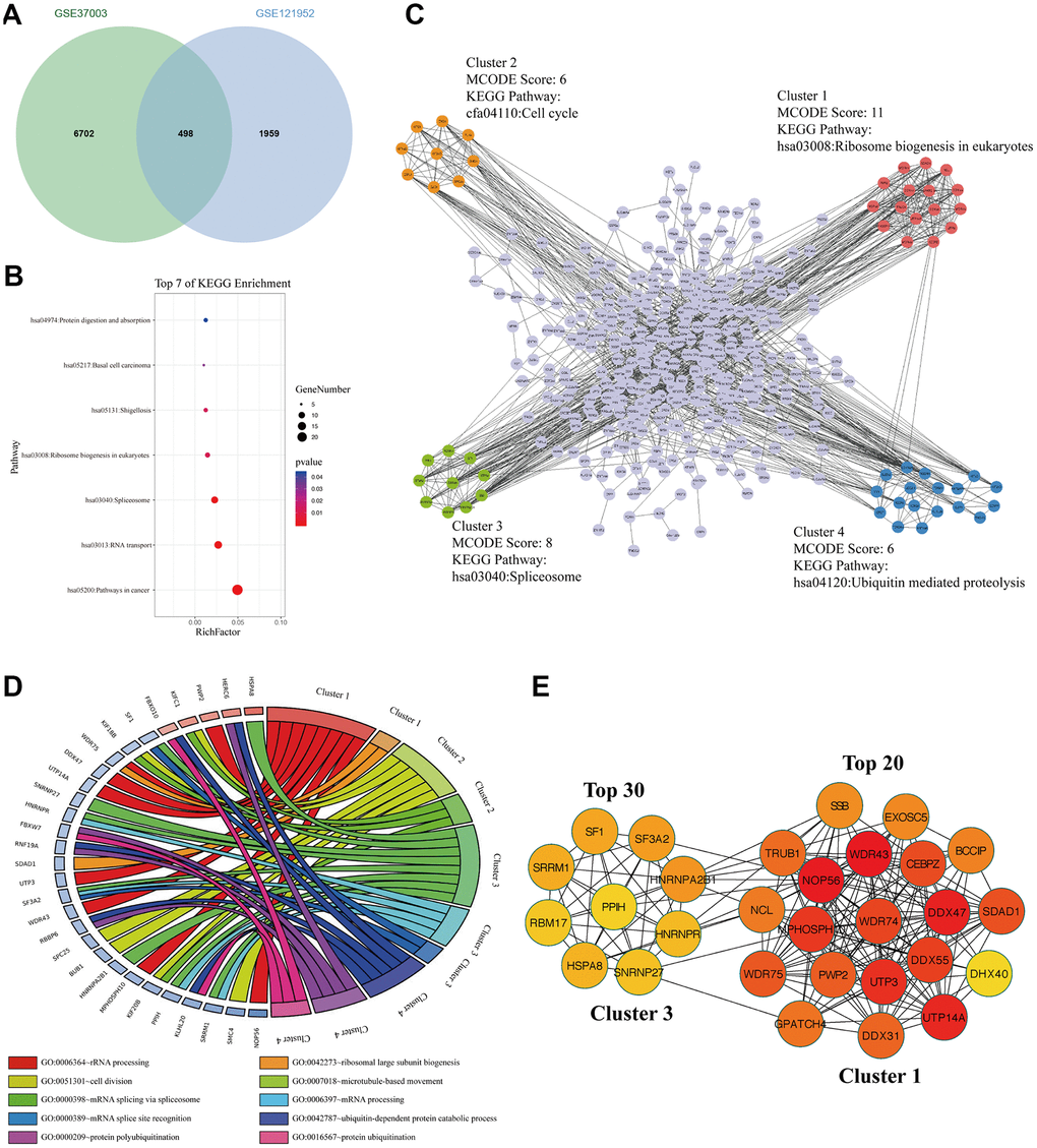 The signaling pathways and biological processes of m6A modified M14TEGs. (A) Integrated analysis of M14TEGs and mRNAs with m6A peaks. (B) KEGG pathway analysis of m6A modified M14TEGs. (C, D) KEGG pathway and GO enrichment analysis of functional molecular clusters among the PPI network of m6A modified M14TEGs. (E) The top 30 hub genes among m6A modified M14TEGs.