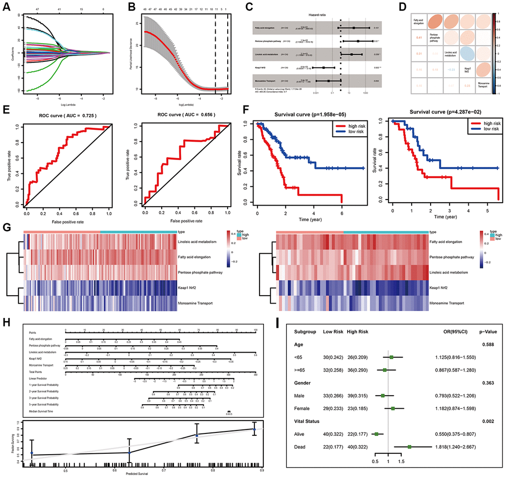 Development and validation of the miPPSPC. (A, B) Least absolute shrinkage and selection operator (LASSO) regression of the pathway enrichment scores of 48 miRNA sets in the training group calculated by the GSVA method. LASSO coefficient profiles of 48 pathways were shown in panel (A) and the dotted line indicated the value chosen by tenfold cross-validation. Tenfold cross-validation for tuning parameter selection in the LASSO model was shown in panel (B). The partial likelihood deviance was plotted against log (λ), which was the tuning parameter. Partial likelihood deviance values were shown, while error bars represented s.e. The dotted vertical lines were drawn at the optimal values by minimum criteria and 1 - s.e. criteria. In (A) and (B), the numbers above the graph represent the numbers of pathways involved in the LASSO model. Through the LASSO regression process, 11 of 48 miRNA set-based pathways were filtered for subsequent analysis. (C) Forest plot of five pathway-related parameters originating from the Cox proportional hazards model miPPSPC. Through constructing Cox proportional hazards model, 5 of 11 pathways were finally filtered. Unadjusted hazard ratios are shown with 95 percent confidence intervals. AIC, Akaike Information Criterion. (D) Correlations among five pathways calculated using pathway enrichment scores of five pathways for PC patients. Red indicated a high correlation, while blue indicated a low correlation. Color depth represented the level of correlation. Correlation coefficients were represented by numbers in the lower left triangle. (E) Receiver operating characteristic (ROC) curve of the miPPSPC for the training set (left) and validation set (right). AUC, the area under the curve. (F) Kaplan–Meier curves for overall survival by risk score of patients in the training set (left) and validation set (right) based on the miPPSPC. Blue line represented low risk group while red line represented high risk group. Log rank test was used to generate p value. (G) Heatmap of the pathway enrichment score distribution of five pathways in the training set (left) and validation set (right). The color change represented the level of pathway enrichment scores of every PC patient for every miRNA set-based pathway: blue represented a low score, and red represented a high score. Patients were divided into low and high risk group according to their risk score. (H) Nomogram (upper) of the miPPSPC exhibited a strong correlation among the pathway score, risk score and survival probability. Calibration curve (lower) for the median survival time from the nomogram of the miPPSPC. On the calibration curve, the x-axis represents nomogram-predicted survival, while the y-axis represents observed survival. (I) Forest plot of the odds ratio in high-risk and low-risk PC patients based on age, sex and vital status. The risk scores of each patient were calculated based on the miPPSPC, which contains five pathways: fatty acid elongation, the pentose phosphate pathway, linoleic acid metabolism, monoamine transport and Keap1-Nrf2.