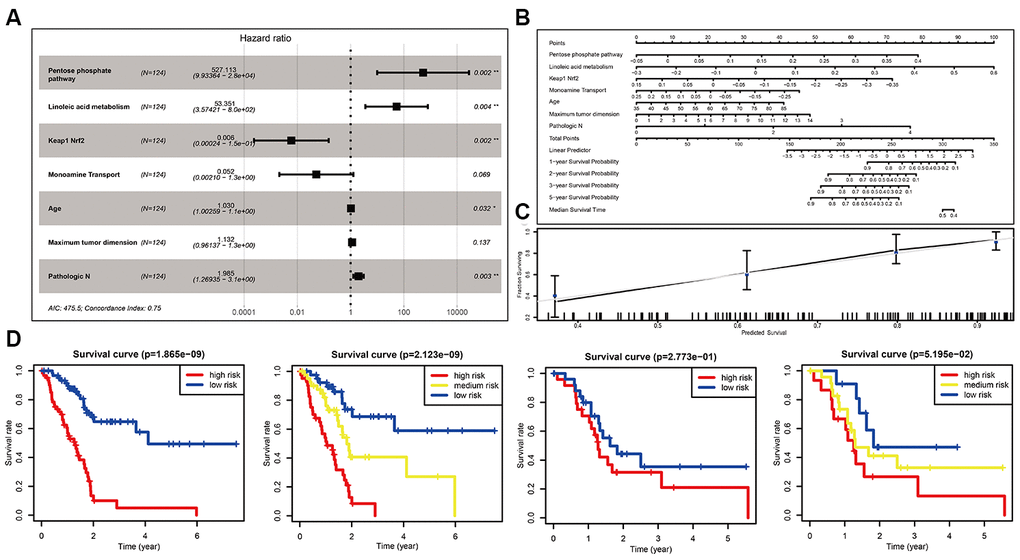 Optimization of the miPPSPC. (A) Forest plot of four pathways and three clinical indexes originating from the optimized Cox proportional hazards model. Through constructing Cox proportional hazards model, four pathways and three clinical indexes were finally filtered. Unadjusted hazard ratios are shown with 95 percent confidence intervals. AIC, Akaike Information Criterion. (B) Nomogram of the optimized miPPSPC that exhibits correlations among the pathway score, clinical indexes, risk score and survival probability. (C) Calibration curve for the median survival time from the nomogram of the optimized miPPSPC. On the calibration curve, the x-axis represents nomogram-predicted survival, while the y-axis represents observed survival. (D) Kaplan–Meier curves for overall survival by risk score of patients in the training set and validation set based on the optimized miPPSPC. Blue line represented low risk group, yellow line represented high risk group, and red line represented high risk group. Log rank test was used to generate p value.