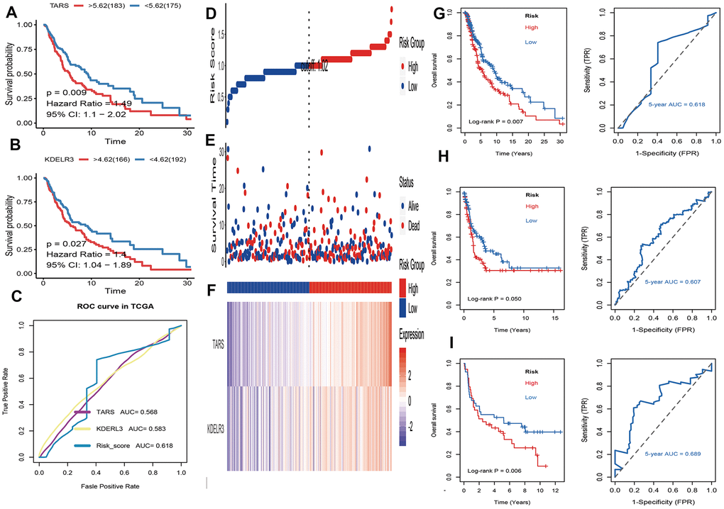 Identification and validation of prognostic UPRRGs features for survival prediction. (A) Kaplan–Meier analysis between patients in the high expression level of TARS and those in the low expression level group. (B) Kaplan–Meier analysis between patients in the high expression level of KEDLR3 and those in the low expression level group. (C) The receiver operating characteristic (ROC) curves of TARS, KEDLR3 and risk score indicators. (D) The distribution of risk score. the risk scores are arranged in ascending order from left to right. (E) Overall survival (OS) time and life status. (F) The prognostic UPRRGs features expression patterns for melanoma patients in TCGA dataset. (G) Kaplan–Meier analysis of UPRRGs features and 5 years of the receiver operating characteristic (ROC) curve in TCGA dataset. (H) Kaplan–Meier analysis of UPRRGs features and 5 years of the receiver operating characteristic (ROC) curve in GSE65904 dataset. (I) Kaplan–Meier analysis of UPRRGs features and 5 years of the receiver operating characteristic (ROC) curve in GSE54467 dataset.