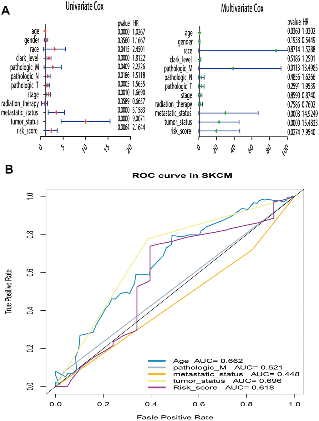 Univariate and multivariate Cox regression analysis of risk score and clinical variables by using overall survival (OS) time in TCGA. (A) Forest plots of risk score and clinical variables. (B) The 5 years area under the curve (AUC) of risk score and clinical variables associated with OS.