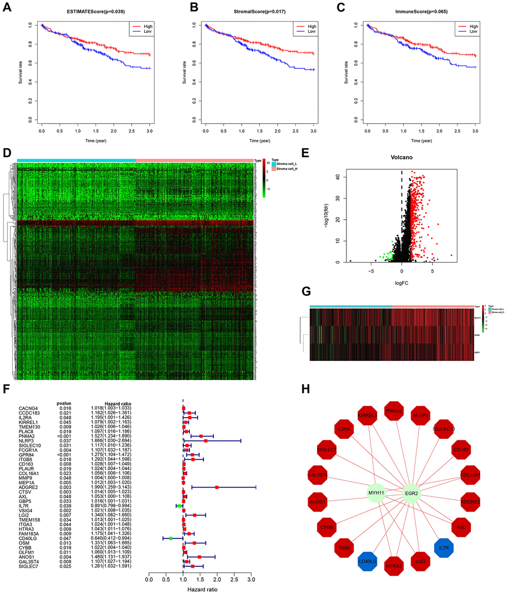 Identification of stromal cell content-related prognostic genes. (A–C) Comparison of 3-year survival between Stroma