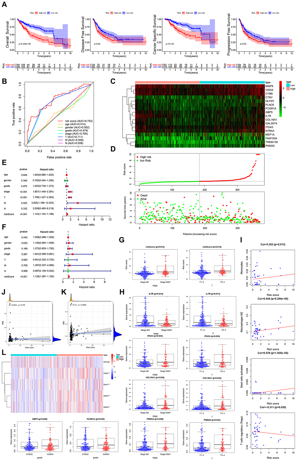 Clinical utility of stromal cell content-related prognostic DEG panel and stromal score. (A) Overall survival, disease-free survival, cancer-specific survival, and progression-free survival of patients between high- and low-risk groups based on stromal cell content-associated prognostic genes. (B) ROC curve analysis of risk score relative to clinicopathological features (age, gender, pathologic grade, clinical stage, tumor stage, lymph node metastasis and distant metastasis). (C, D) Differential risk scores, survival status and expression pattern of 17 IRGs in HCC patients. (E, F) Univariate and multivariate Cox regression analysis showing the independent prognostic value of this risk score. (G) Relationship between risk score and the clinical stage, as well as the T stage of HCC patients. (H) Relationships between genes in the prognostic DEG panel and the clinicopathological characteristics of HCC patients. (I) Pearson correlation analysis between the stromal score and infiltration abundances of immune cells. (J) Spearman correlation analysis between the risk score and TMB. (K) Spearman correlation analysis between the risk score and MSI. (L) Heatmap visualization of the expression of 4 DNA MMR genes related to the risk score. *** p = 