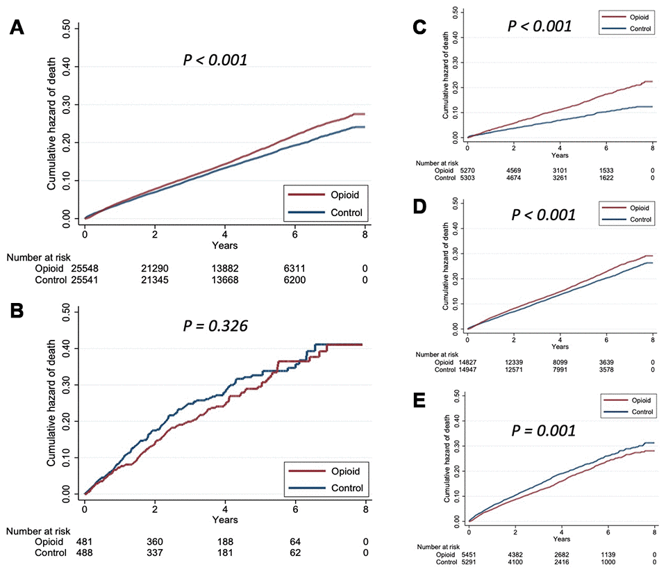 Kaplan-Meier survival curves based on (A) frailty presence; (B) frailty absence; (C) having none of the FRAIL items; (D) having 1 positive FRAIL item; and (E) having 2 positive FRAIL items.