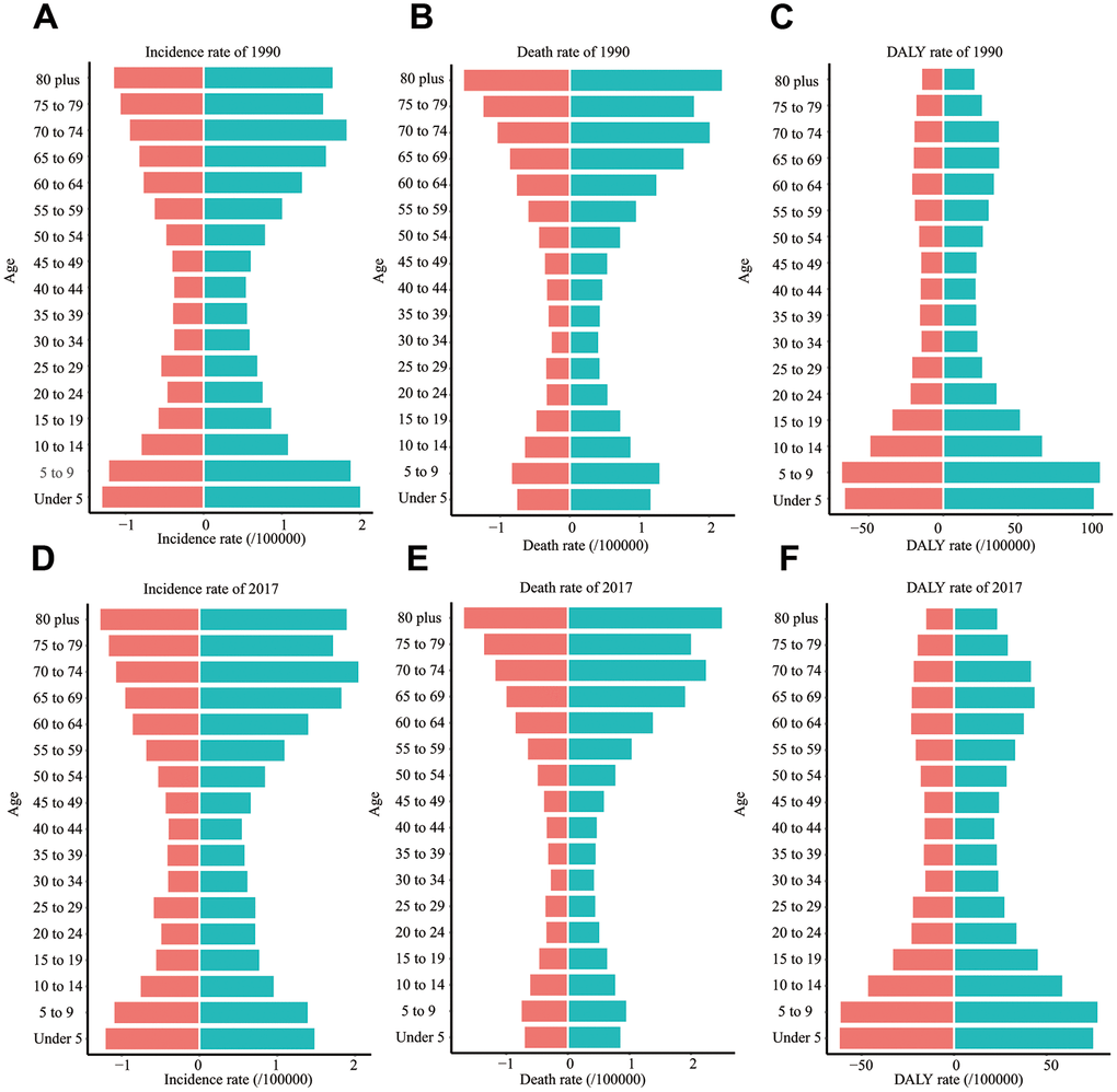 The incidence rate, death rate, and DALY rate of ALL in different age groups. (A) The incidence rate in 1990. (B) The death rate in 1990. (C) DALY rate in 1990. (D) The incidence rate in 2017. (E) The death rate in 2017. (F) DALY rate in 2017. EAPC: estimated annual percentage change; DALY: disability-adjusted life year; SDI: Socio-demographic Index.