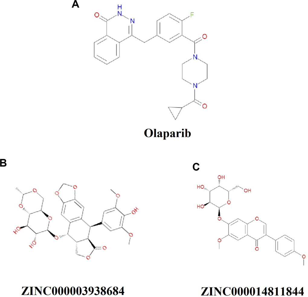 Chemical structure formula of Olaparib and novel compounds selected from virtual screening.